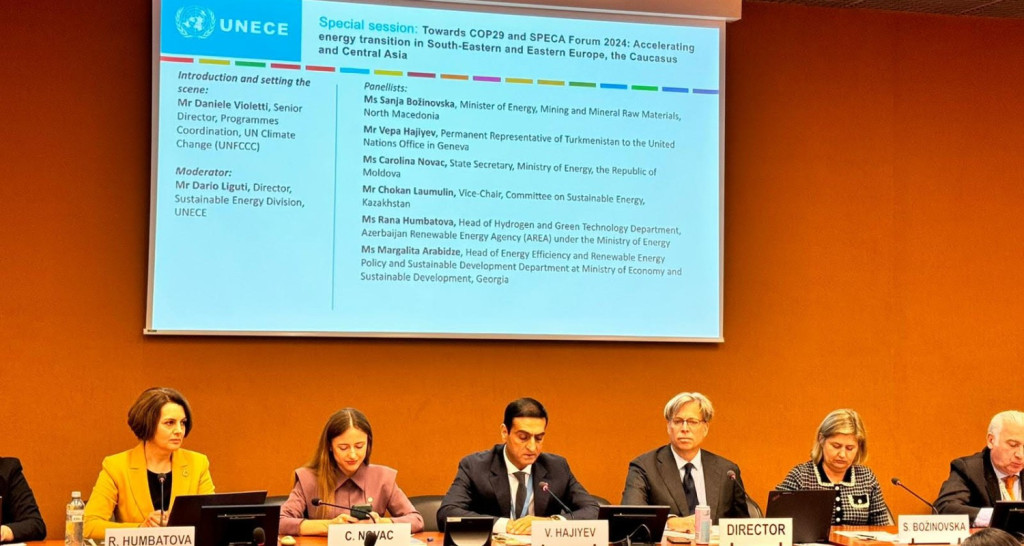 The delegation of Turkmenistan took part in a special session of the UNECE Sustainable Energy Week