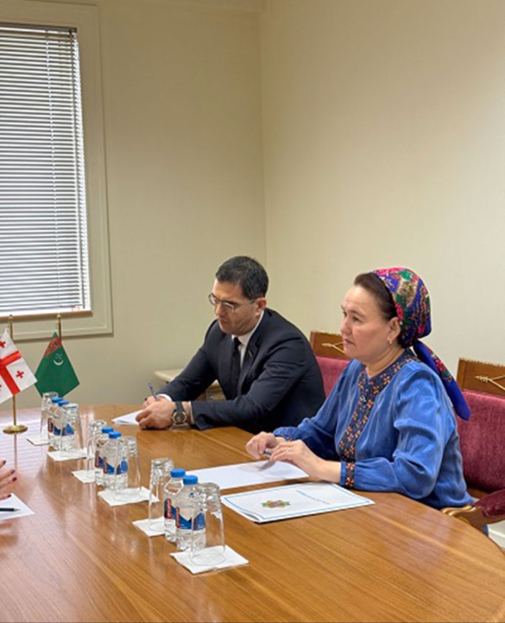 Turkmenistan and Georgia discussed issues of human rights protection