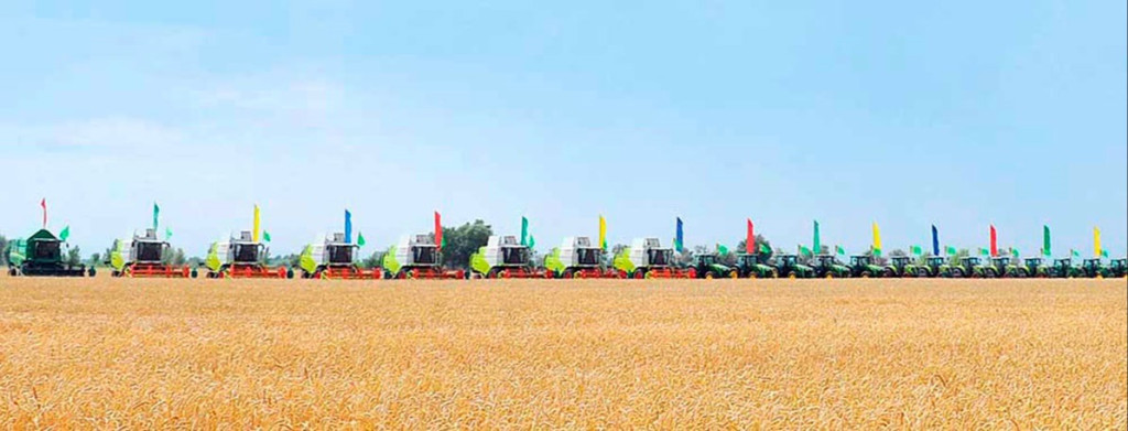 Over 1.4 million tons of wheat delivered to the Homeland’s granaries