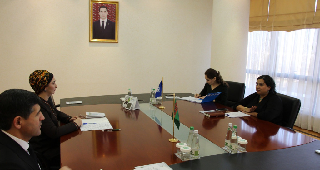 Key Areas of Cooperation Between Turkmenistan and the UN Children's Fund (UNICEF) Discussed