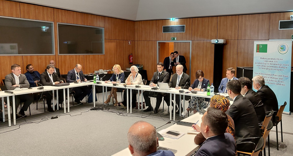 Contribution of neutrality to strengthening peace and trust was discussed at a side event at the OSCE Parliamentary Assembly